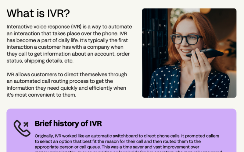 what is ivr data sheet